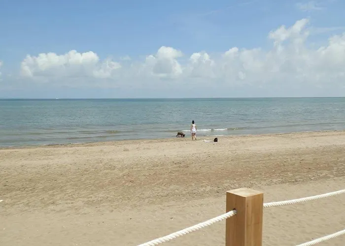 Casa En La Playa Con Piscina Privada, Wifi, Aire Opcional, Mascotas Bienvenidas. - Es-184-40